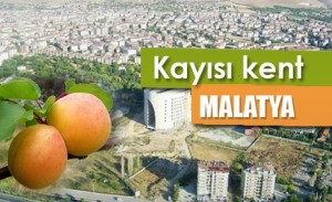 malatya-saç-ekimi